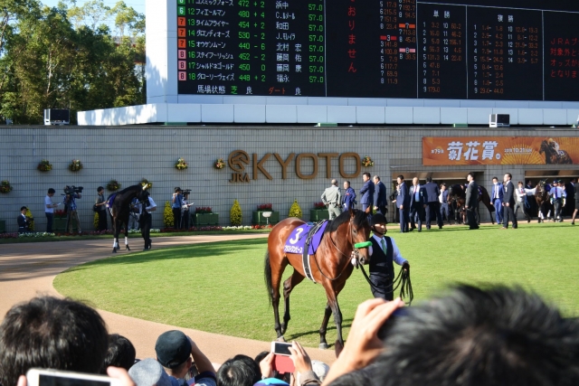 パドックにて ブラストワンピース