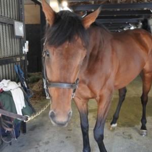 ノーザンファーム天栄にて