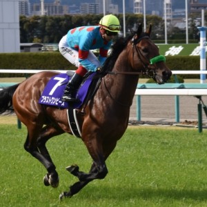 大阪杯～返し馬