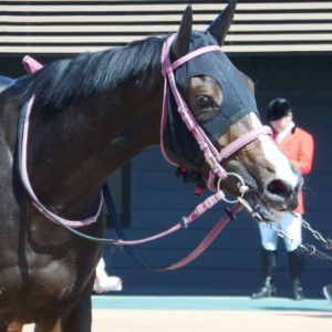 グランプリロード