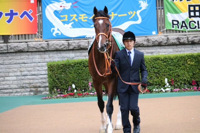 正面から ルーカス