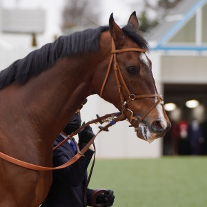 2023/2/25 幕張S(3勝クラス)