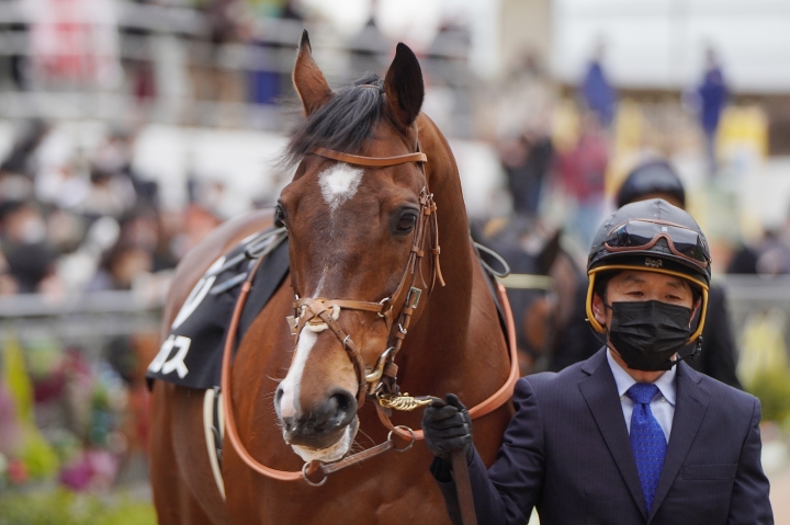 2023/2/25 幕張S(3勝クラス) ルーカス