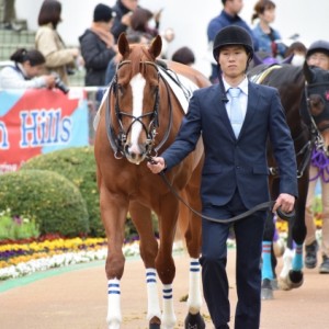 2018.3.10 未勝利戦パドック