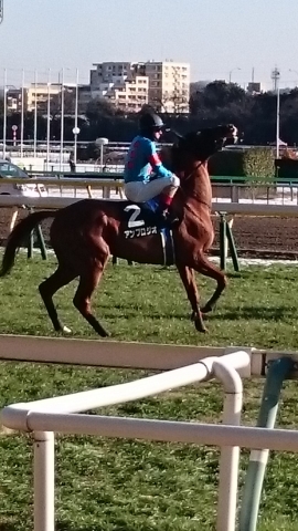 返し馬 アンブロジオ