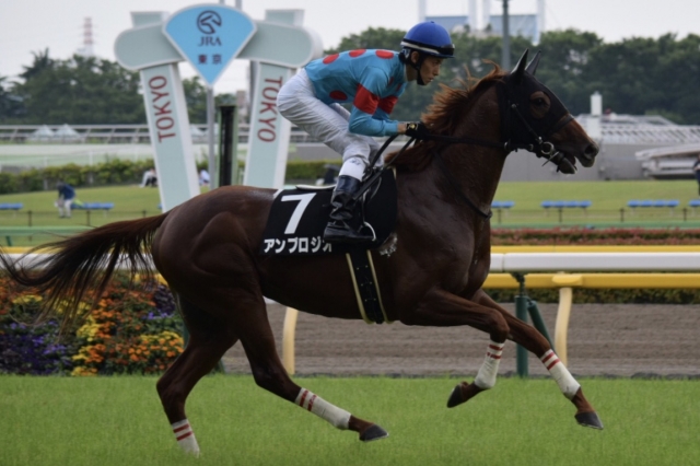 返し馬 アンブロジオ