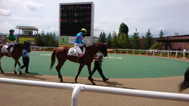 新馬戦パドック アンブロジオ