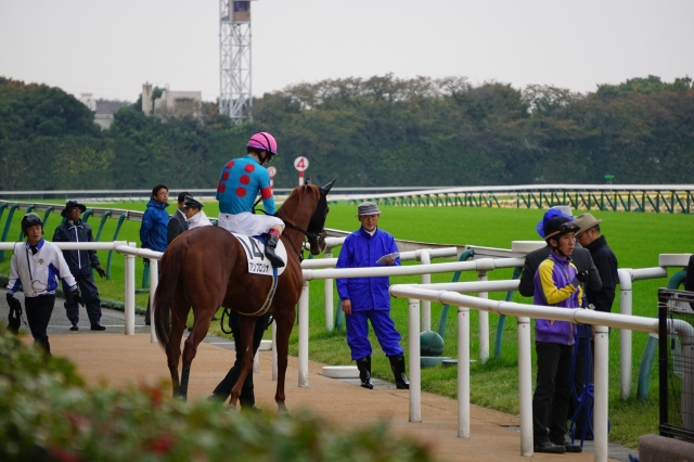 2歳未勝利 本馬場入場 アンブロジオ