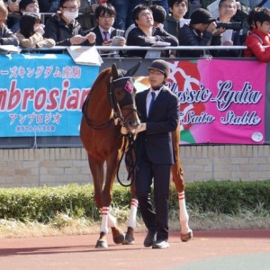 ファルコンステークス パドック