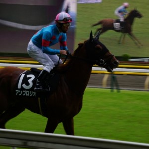 相模湖特別 本場場入場