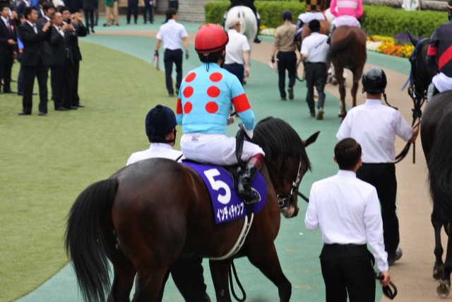 パドックにて インディチャンプ