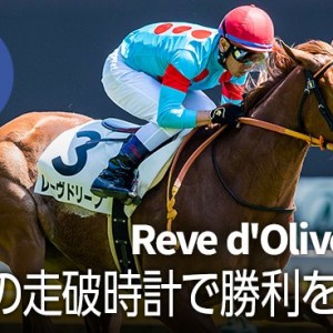 母レーヴドスカーは偉大