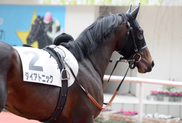 メイクデビュー戦 パドックにて ダイアトニック