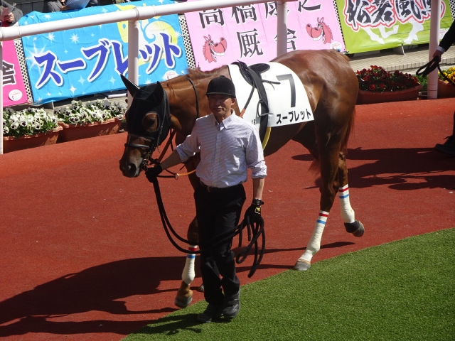 ３歳未勝利@阪神競馬場 スーブレット