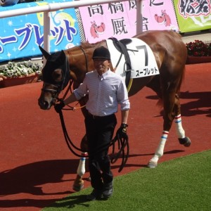 ３歳未勝利@阪神競馬場