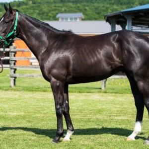 2017年6月30日　谷川牧場にて