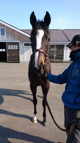 3月5日 ノーザンファーム早来 レッドベルローズ