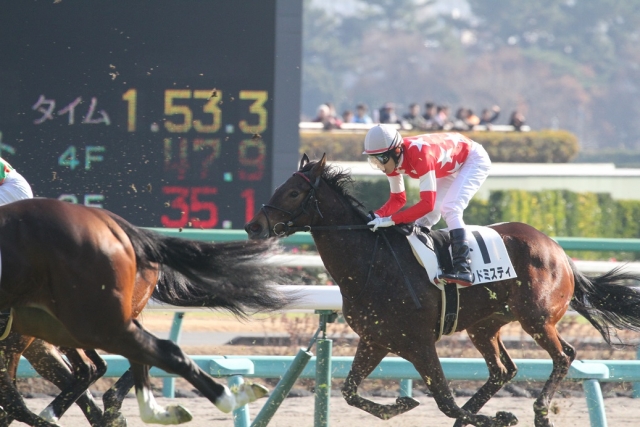 直線 レッドミスティ