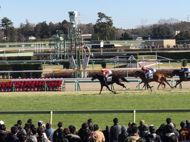 直線 レッドイリーゼ