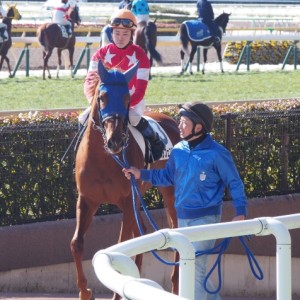 東京未勝利４着時本馬場入場