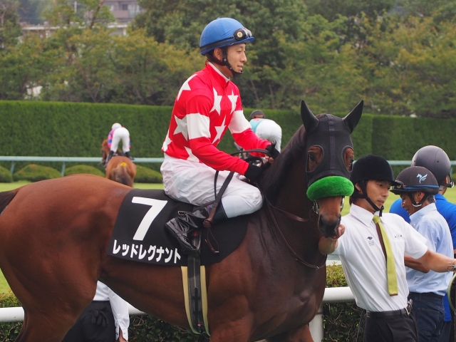 瀬戸内海特別　本馬場入場時 レッドレグナント