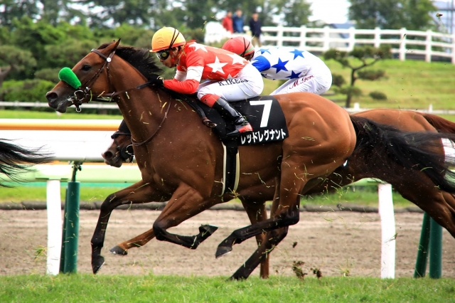 2018.7.8 函館12R かもめ島特別 レッドレグナント