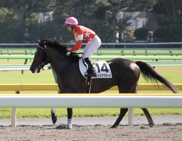 レース後② レッドアグラード