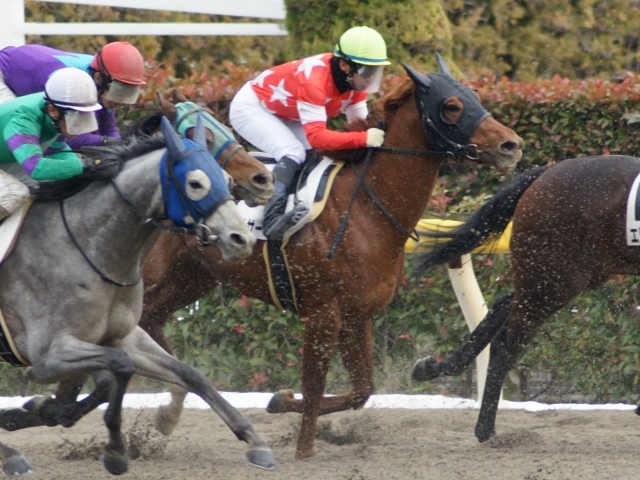 ５戦目最後の直線 レッドチェイサー