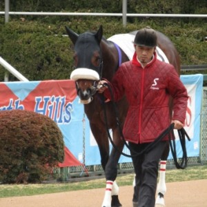 2018.2.10_3歳未勝利戦_パドック(1)