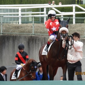 2018.3.3_3歳未勝利戦_本馬場(1)