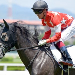 阪神未勝利戦 返し馬にて