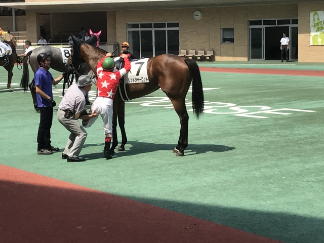 初勝利パドック〜デムーロと一緒〜 レッドシャーロット