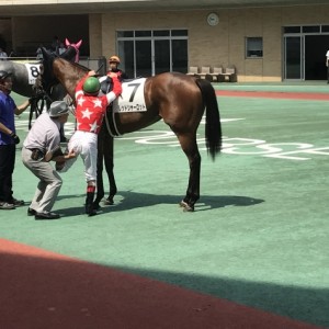 初勝利パドック〜デムーロと一緒〜