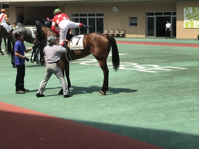 初勝利パドック〜デムーロと一緒〜 レッドシャーロット