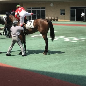 初勝利パドック〜デムーロと一緒〜