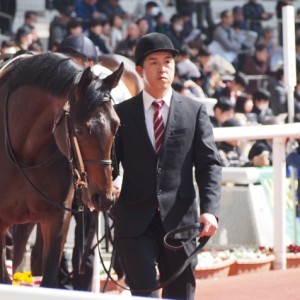 阪神未勝利６着時　パドック