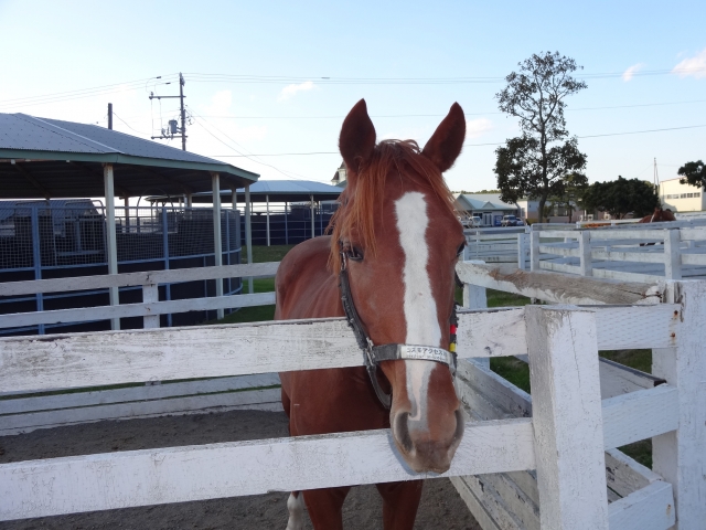 コスモヴューファーム ウインスペリウス