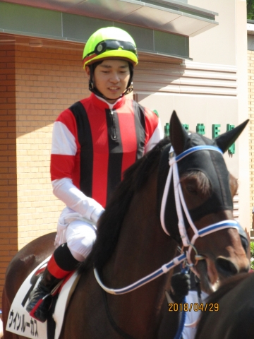 2018.4.29_3歳未勝利戦_パドック(2) ウインルーカス