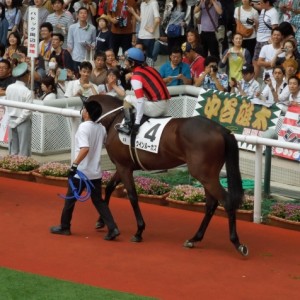 メイクデビュー阪神その２