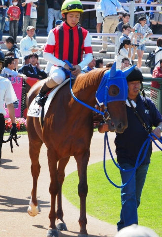 デビュー戦パドック ウインエスキース