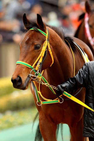 ラブリランテ 2018/1/28 1 ラブリランテ