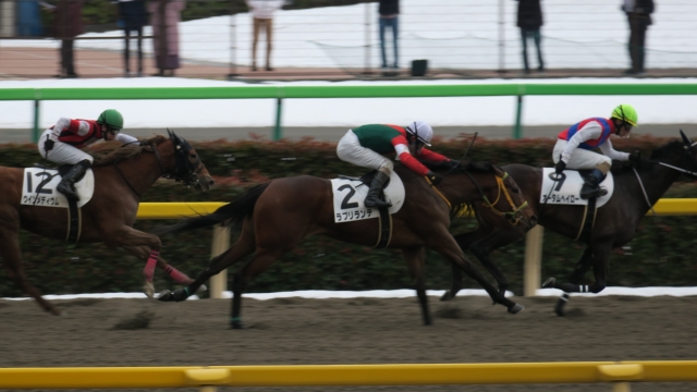 新馬戦２着 ラブリランテ