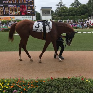 まだまだ成長過程？