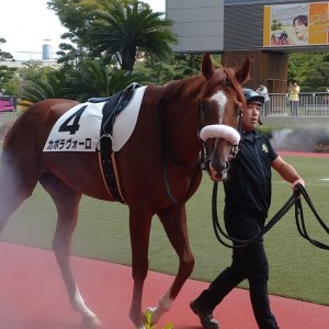 小倉競馬場