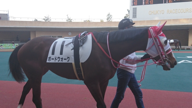 悔しい二着！ ボードウォーク