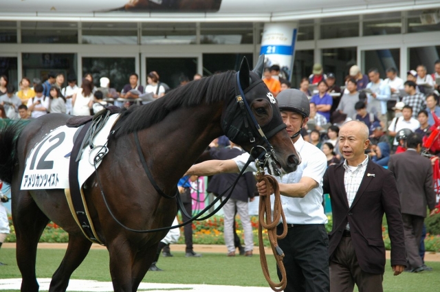 2018年9月22日　中山７R アメリカンツイスト