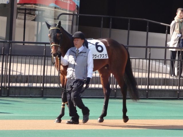 未勝利戦 パドック グヴィアズダ