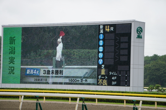 いよいよ！ファンファーレ♪ フォーチュンリング