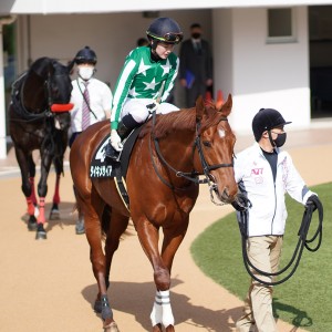 2021/4/3 葛飾特別(2勝クラス)