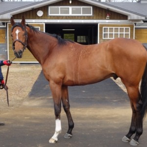 山元トレーニングセンター（3歳2月）